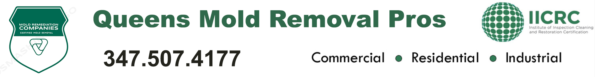 Queens Mold Removal Pros